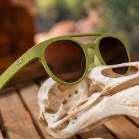 GOODR - PHG - Fossil Finding Focals